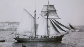 The Rhoda Mary & other Ferris boats