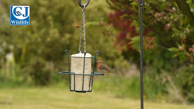 Peanut Cake Feeder