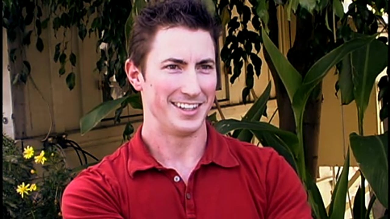 What is a film's palate?