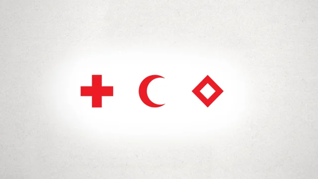 Red Cross Icon - Int. Organisations Icons 