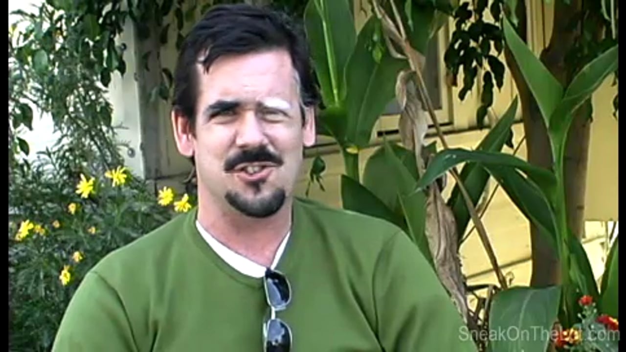 What are the two types of gaffers?