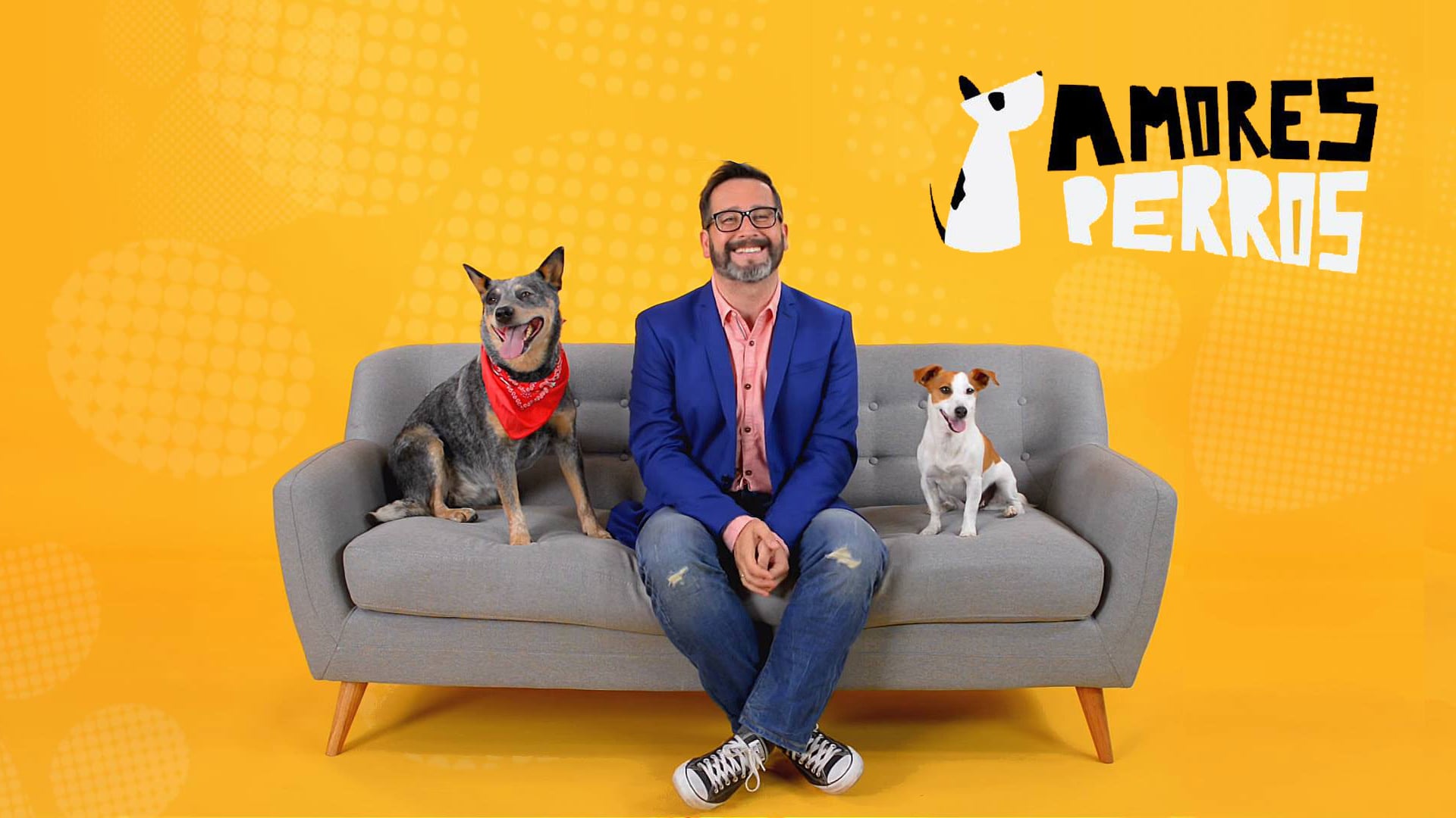 AMORES PERROS, CANAL 13