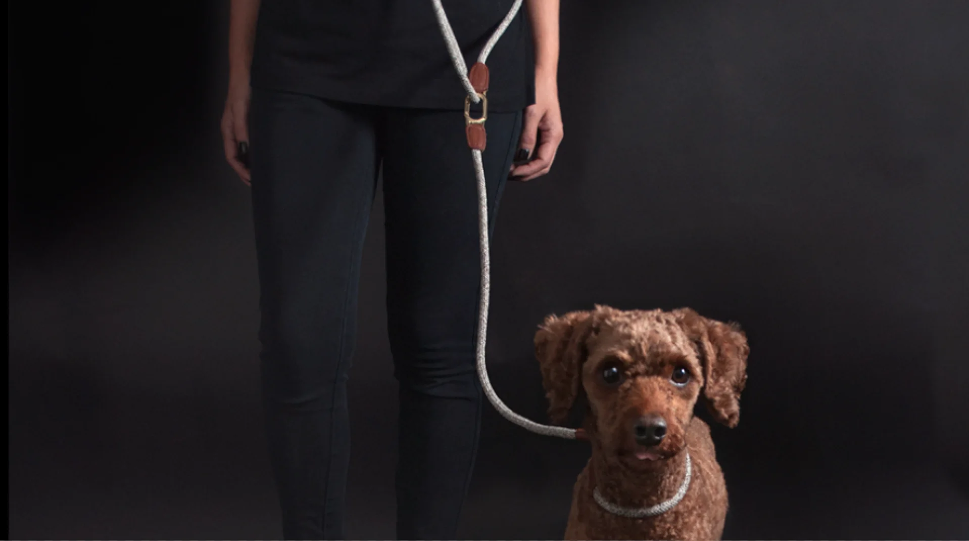 Metro Hands Free Shoulder Dog Leash – High 5 Pets B.V.