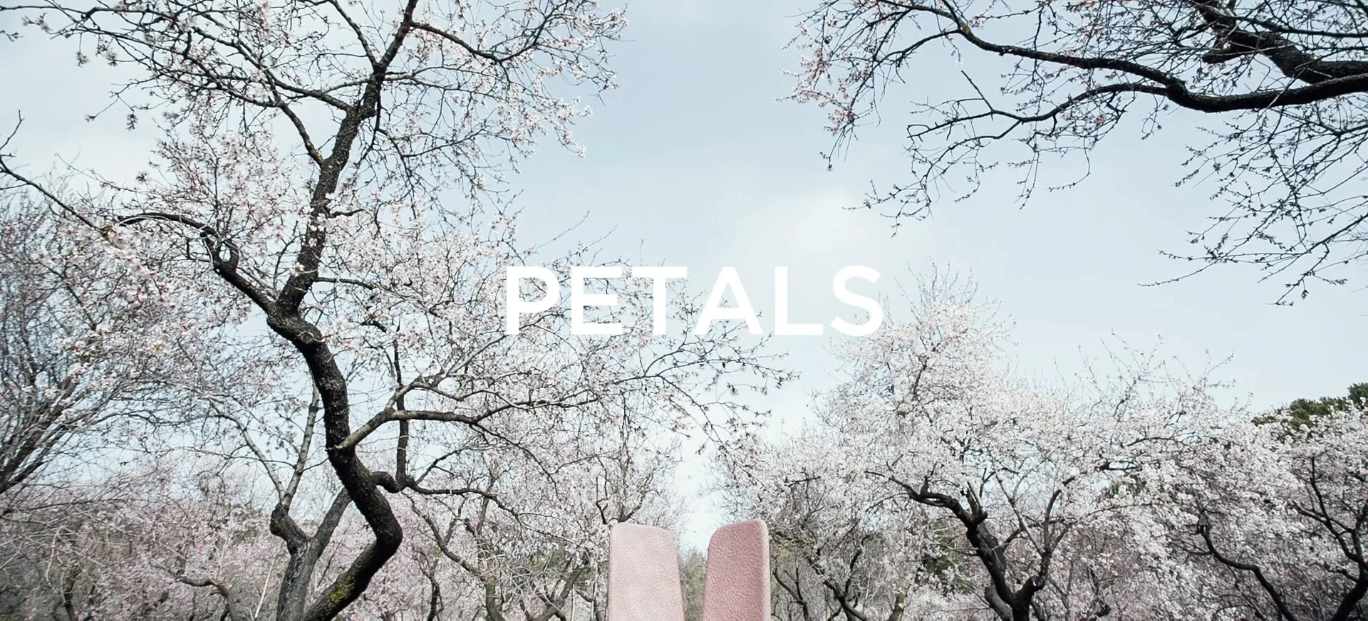 Petals Chair by Stone designs (Short edit)  