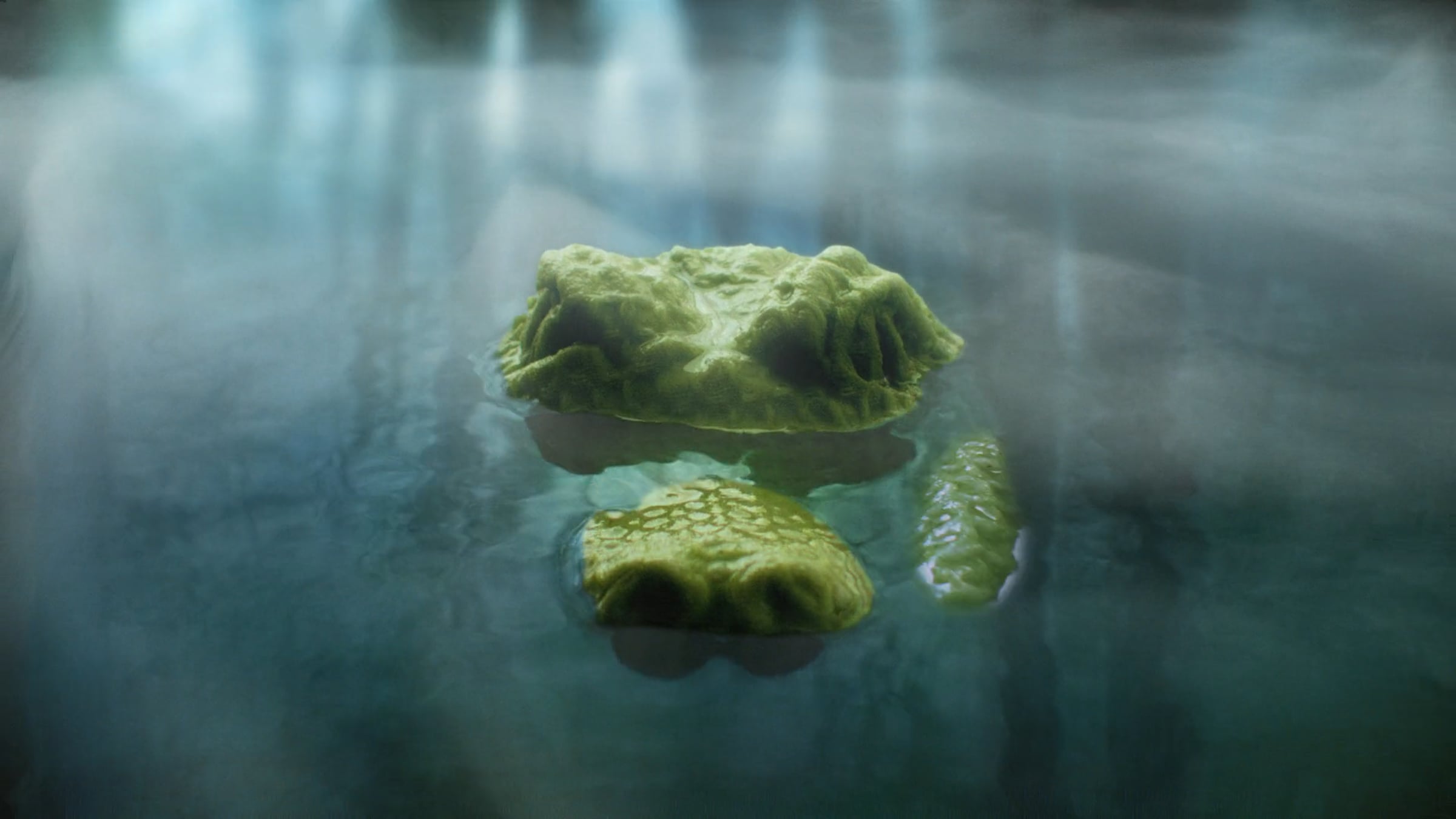 Health Canada - Gator | Videos & Movies on Vimeo