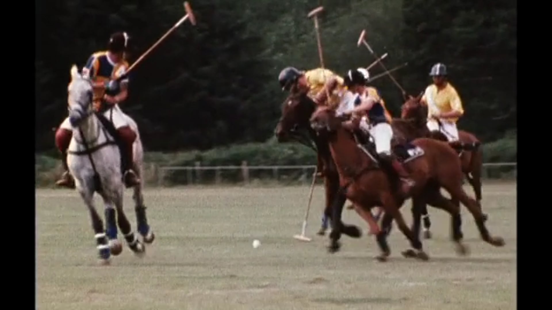 Hockey on the Hoof