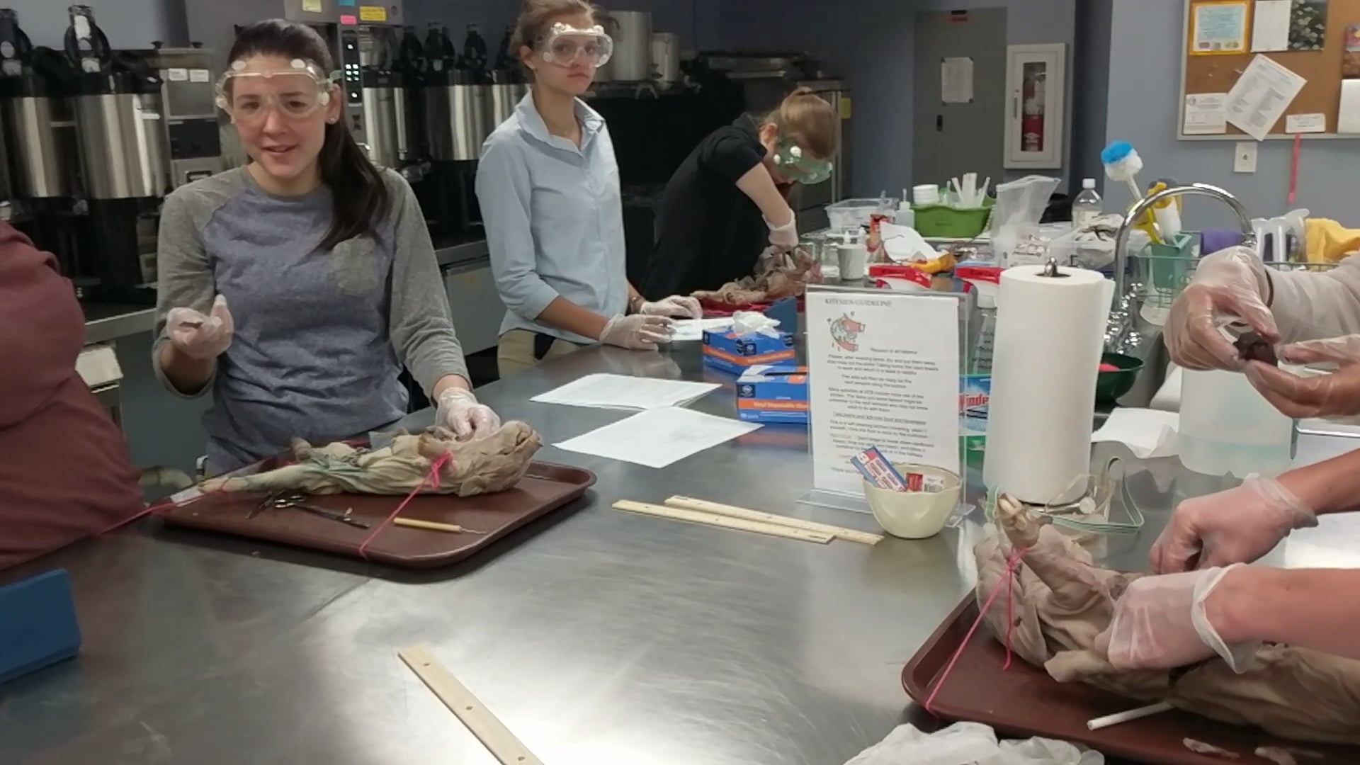 Our Biology students dissecting in class on Vimeo