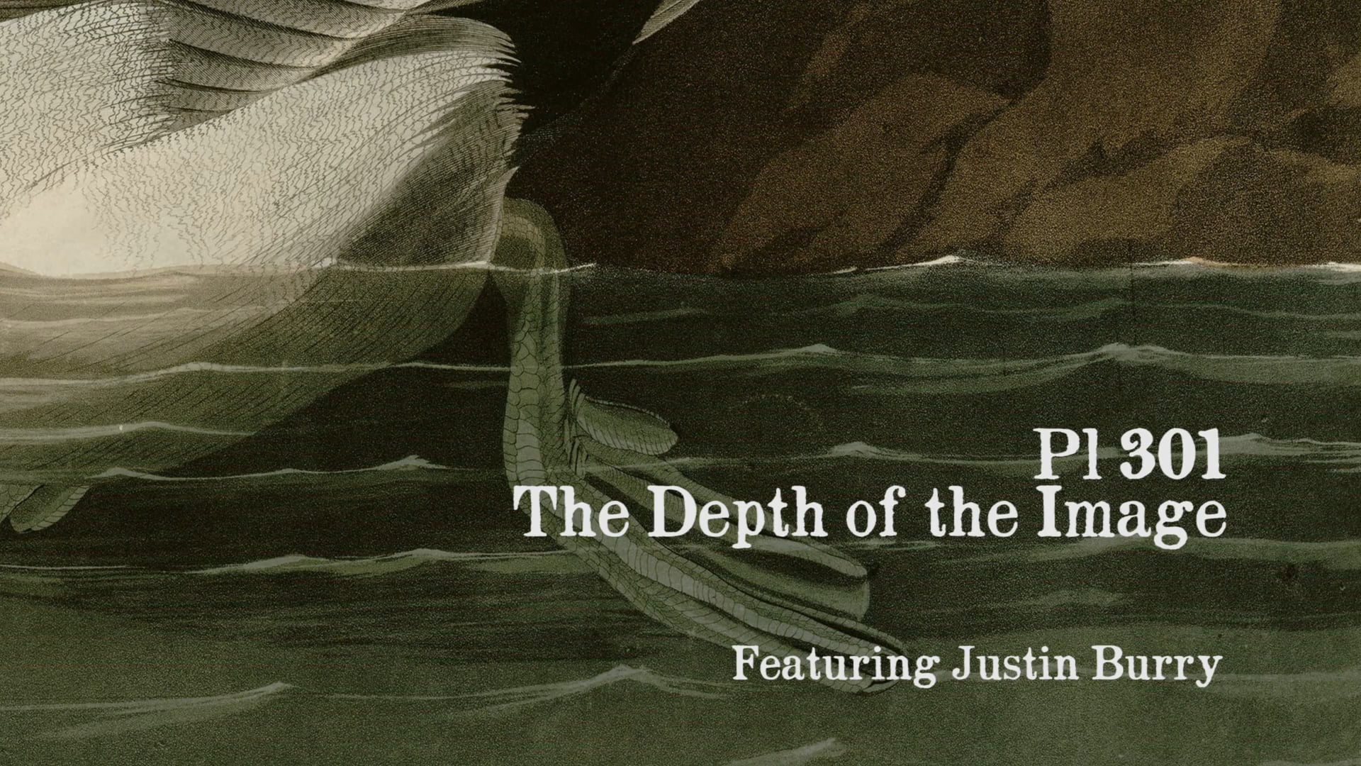 Pl 301: The Depth of the Image