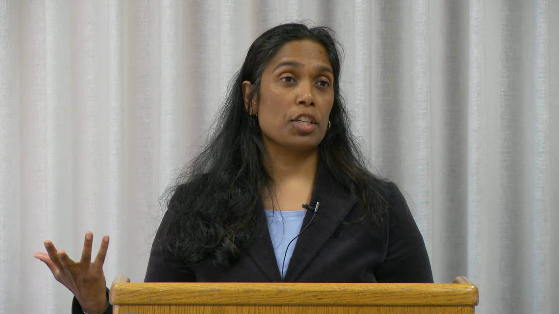 Professor Sudha Setty speaking on Security and Civil Liberties under ...