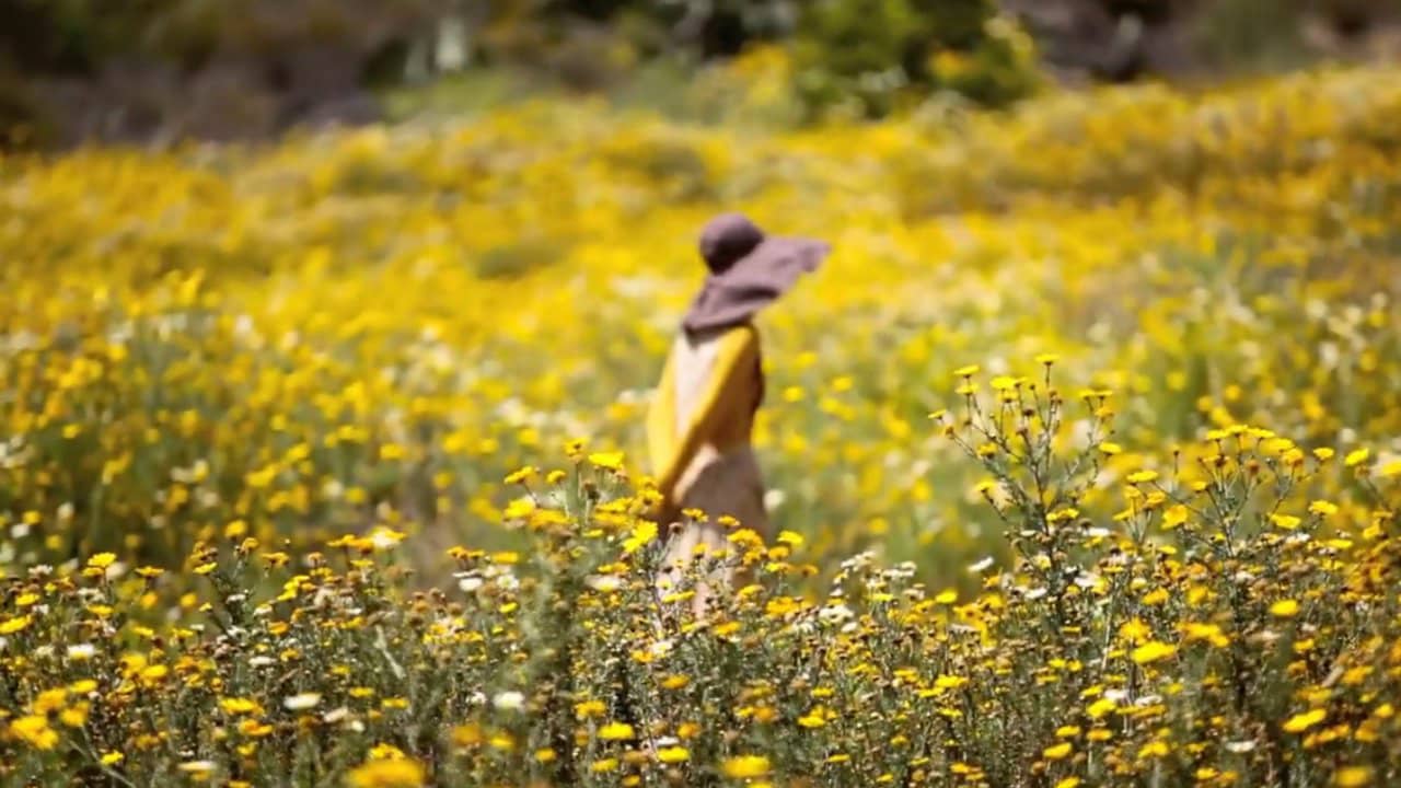 Sanderling Waldorf School's 'Hike Day' on Vimeo