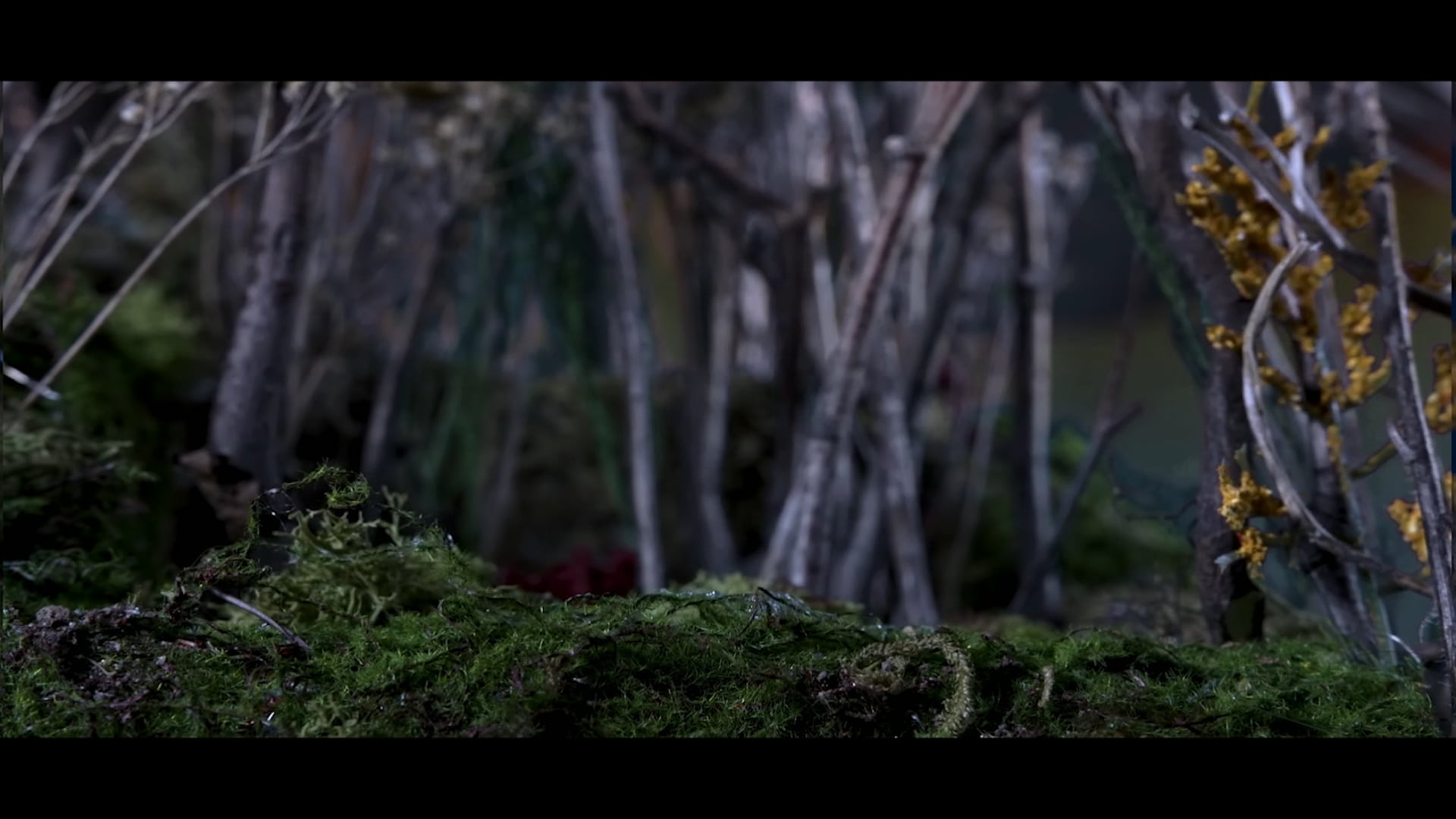 Haven't The Foggiest