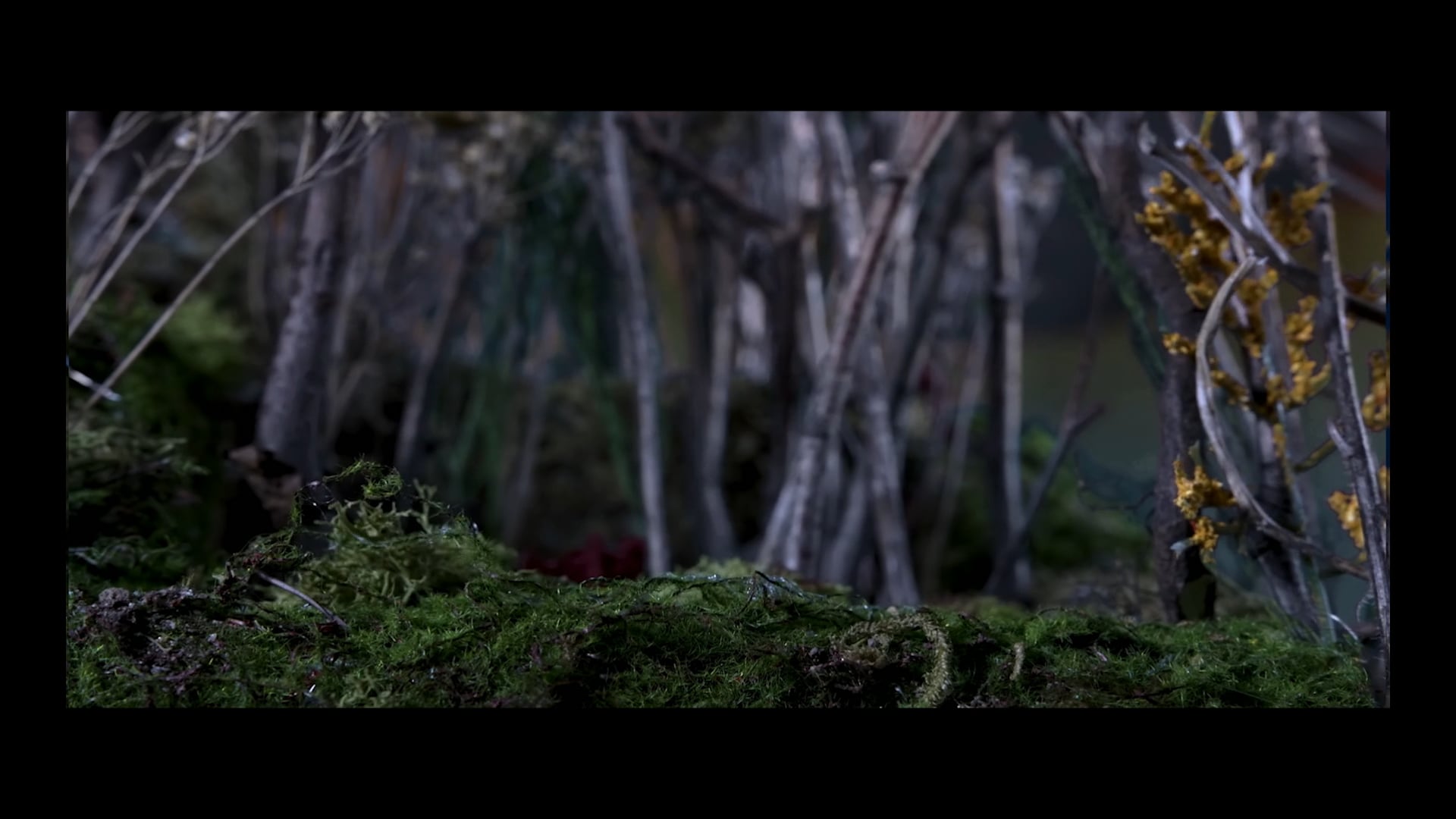 Haven't The Foggiest