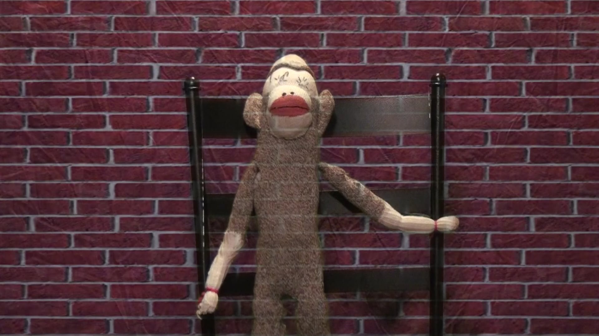 Honkey Donkey Trailer | Videos & Movies on Vimeo