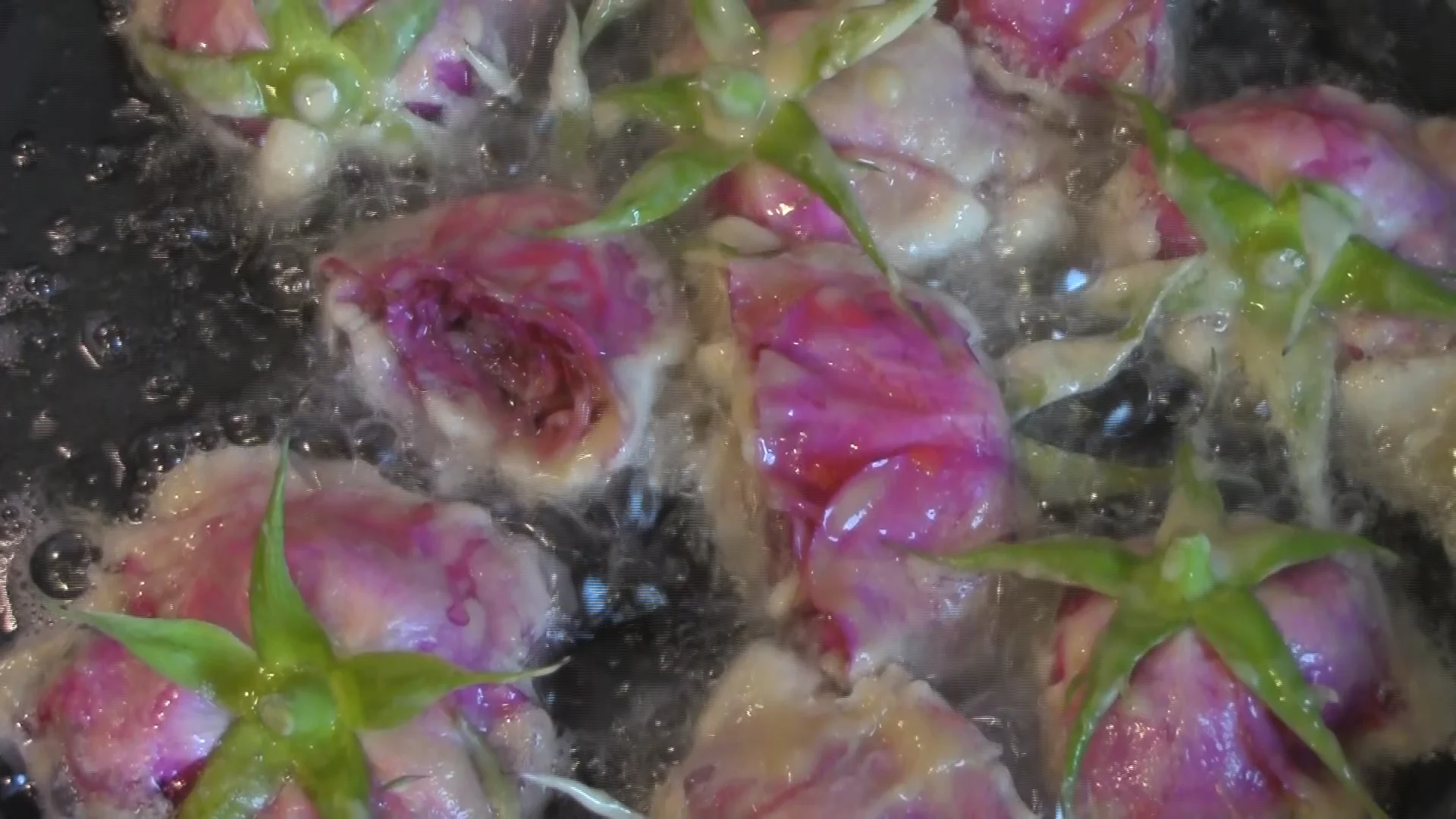 diabolical roses on Vimeo