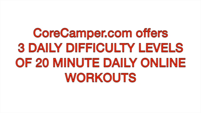 Online 20 minute online workout