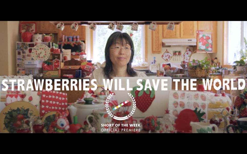 Aardbeien zullen de wereld redden - korte documentaire