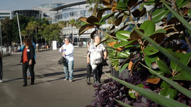 Aboriginal staff forum - highlights
