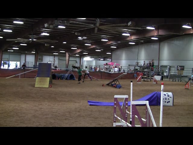 USDAA Belton 2016