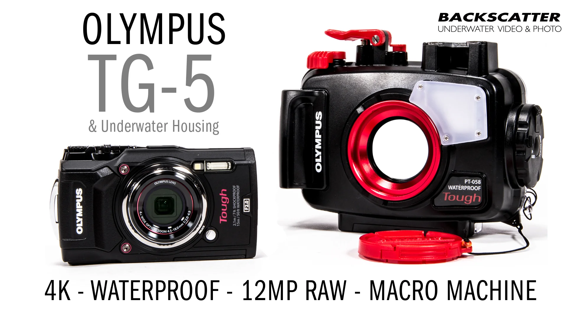 Olympus TG-5 Underwater Camera & Housing - First Look