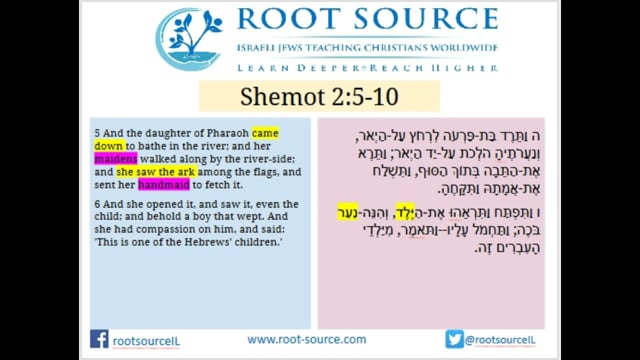 Here are all the courses that Dr. Rivkah Adler teaches: