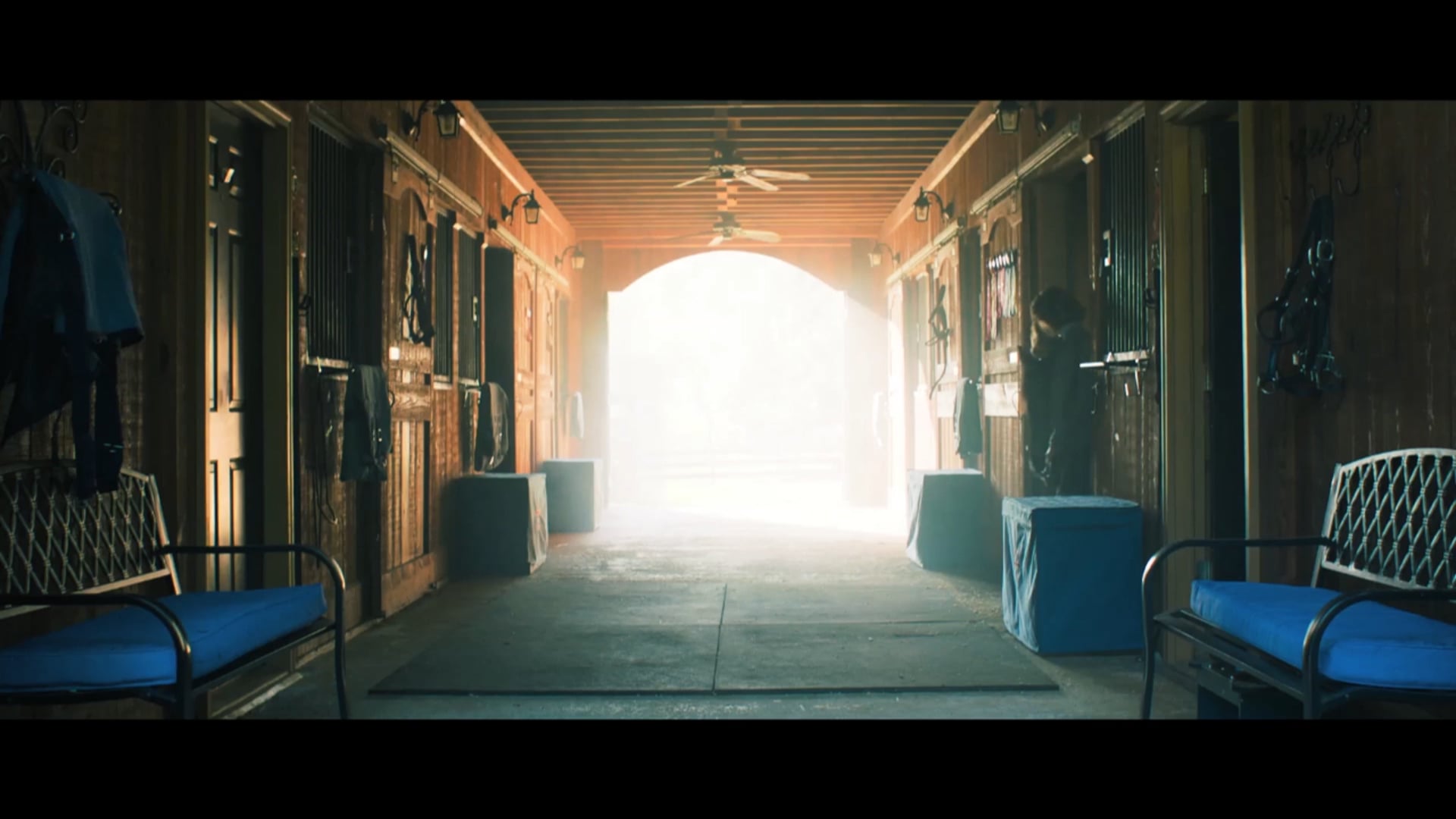 PETER  N. GREEN REEL