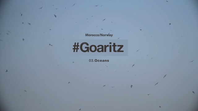 #GOARITZ - OCEANS