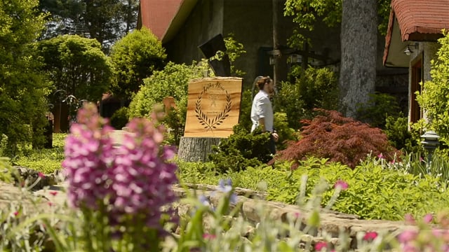 Grovewood Village