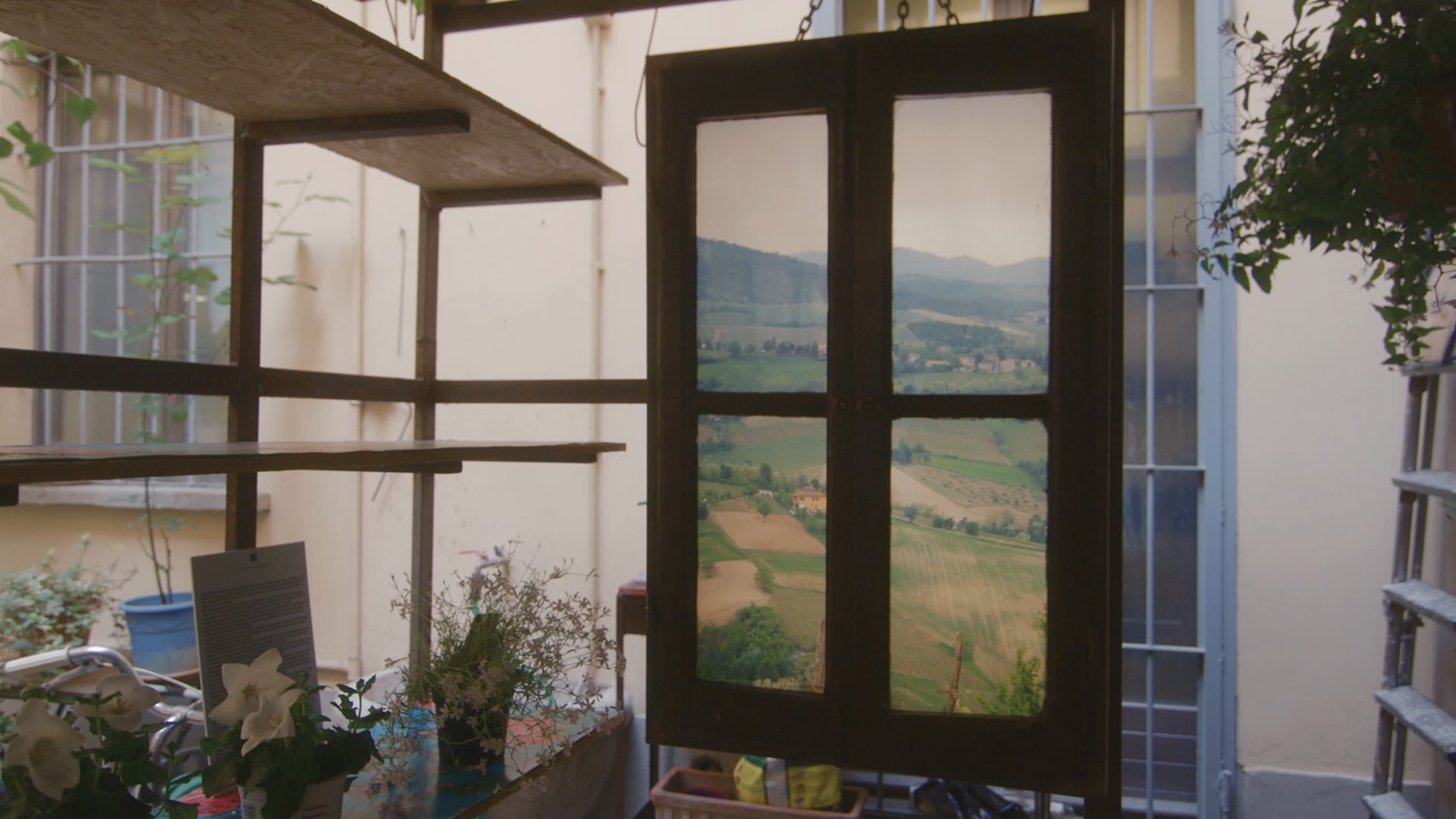 A day in the Vineyards window