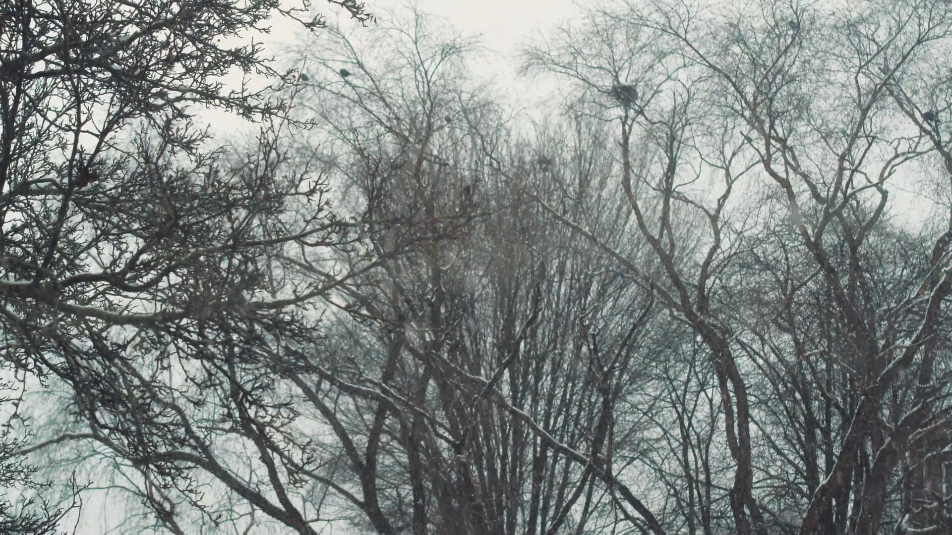 30s excerpt from "The Winter outside"