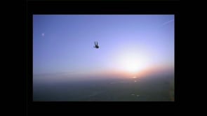vignette de Loto-Qubec -  Chute Libre