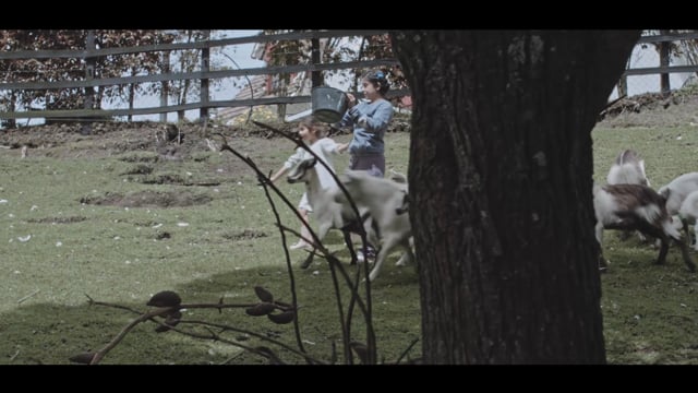 Trailer Oficial
