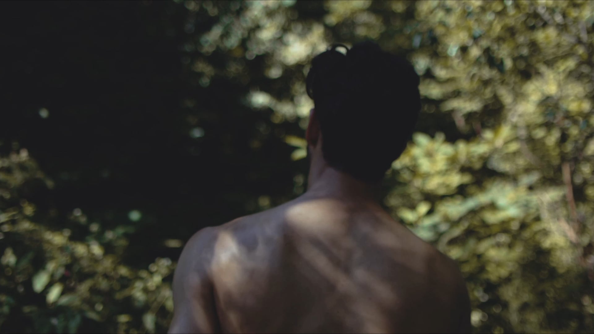 American Ballet Theatre - Marcelo Gomes Feature