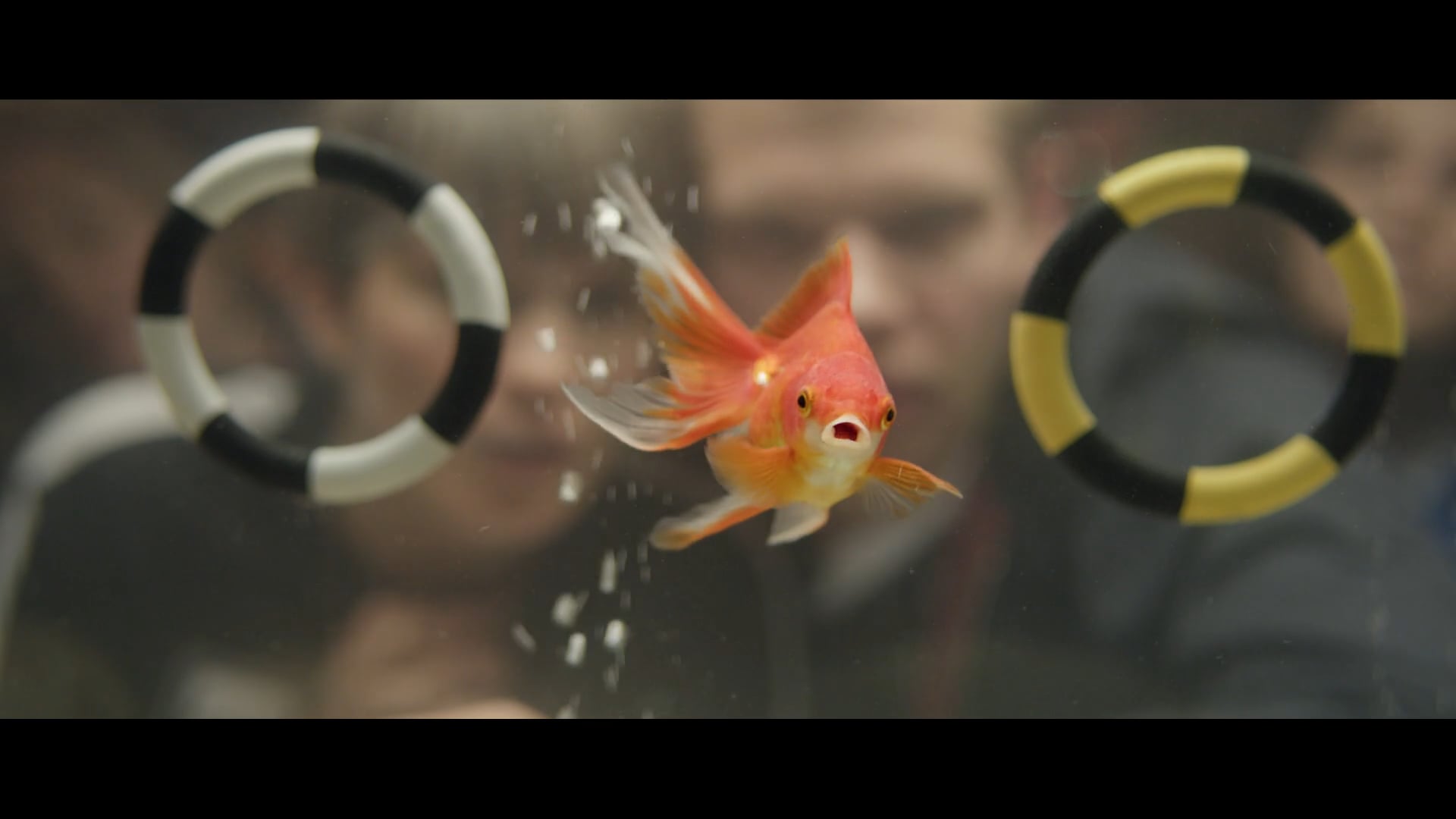 Xfinity                                            'Ode to the Fans'