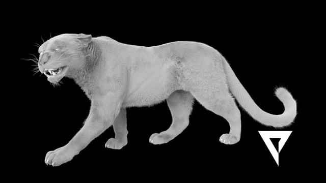 Grooming Reel 2017 - Grzegorz Jankowski