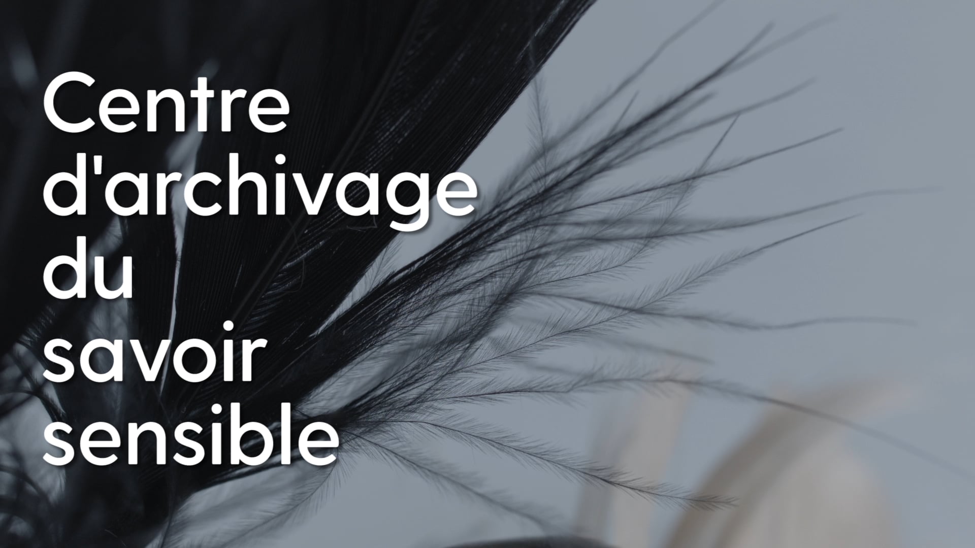 POSSIBLES 05 | Centre d'archivage du savoir sensible