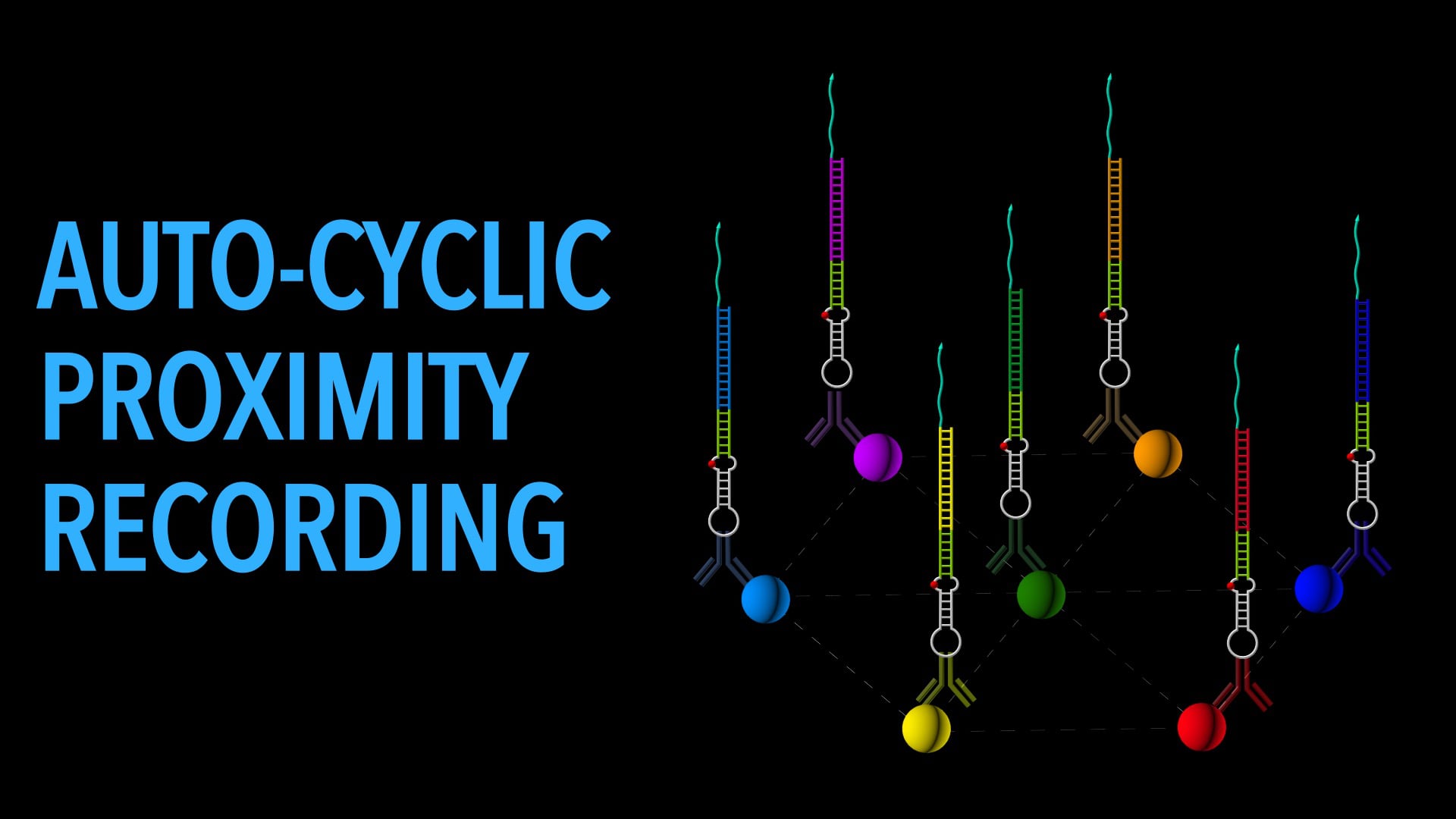 Auto-cyclic Proximity Recording