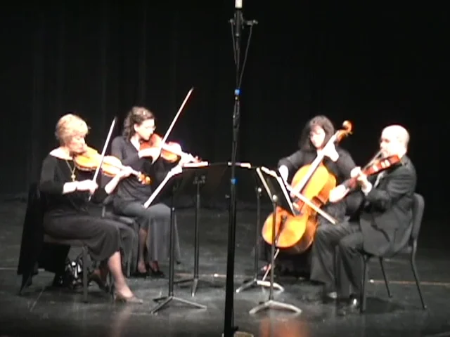 4 pièces/ensemble Durable violon cordes E-A-D-G no – Grandado