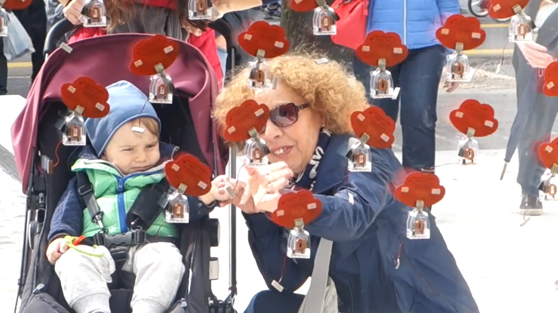 Dancing Solar Flowers - Museo Luigi Bailo