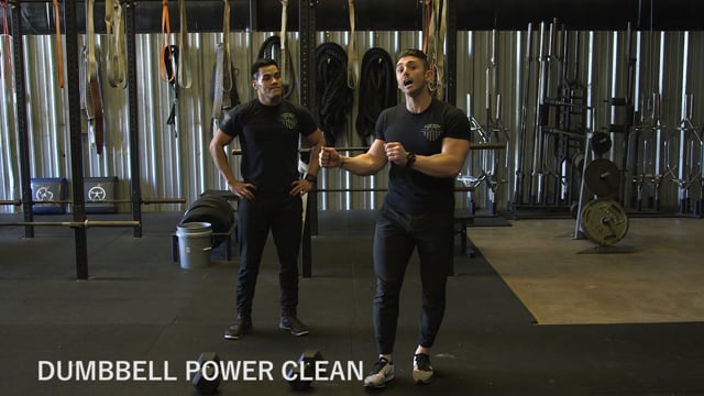 Dumbbell Power Clean