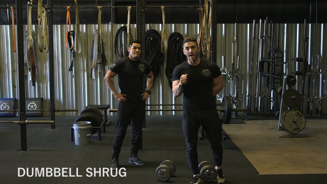 Dumbbell Shrug