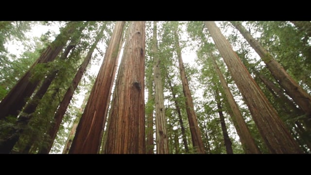 The Adventure Dispatch trailer