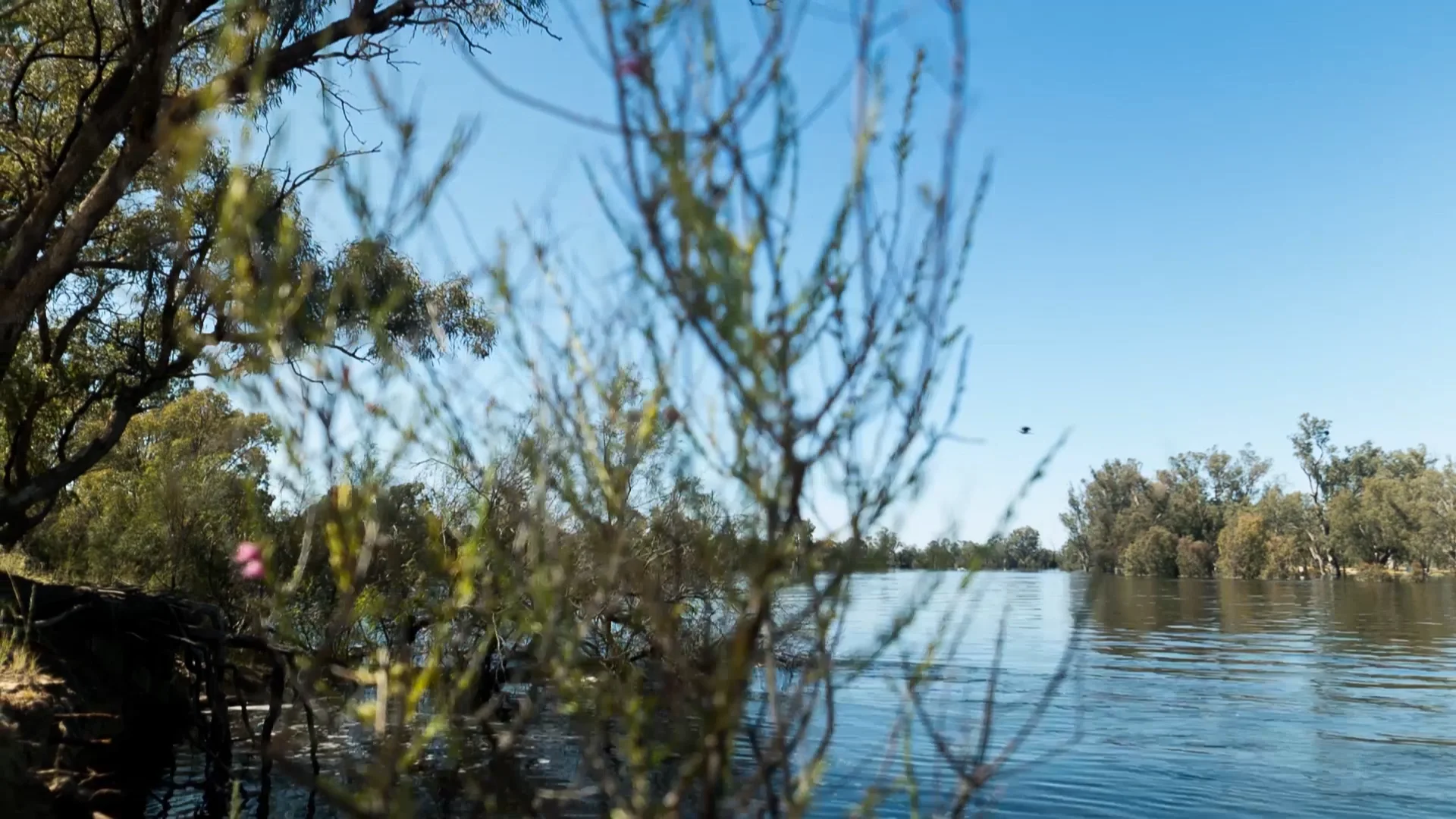 Sequence 03 on Vimeo
