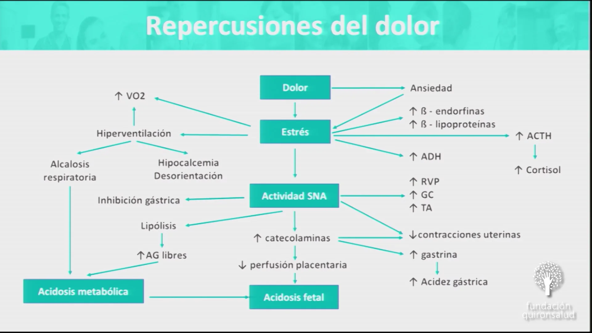 Evolución de la Analgesia obstétrica. Dr. Jesús Pérez. II Jornada