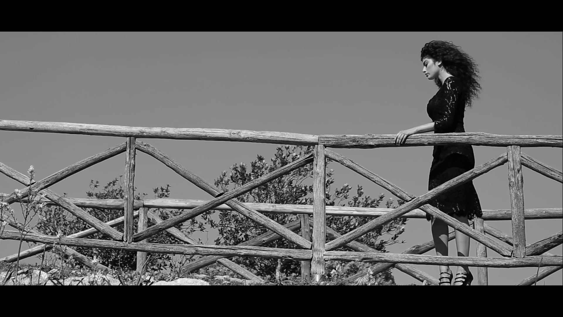 Spot - Commercial - Video