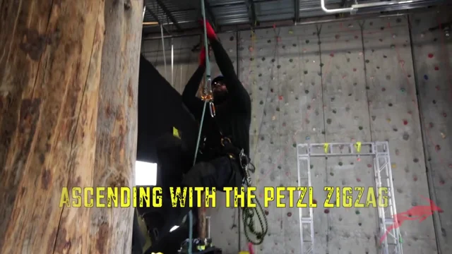 Benefits of the Petzl ZigZag and Petzl Zillon for Tree Climbing