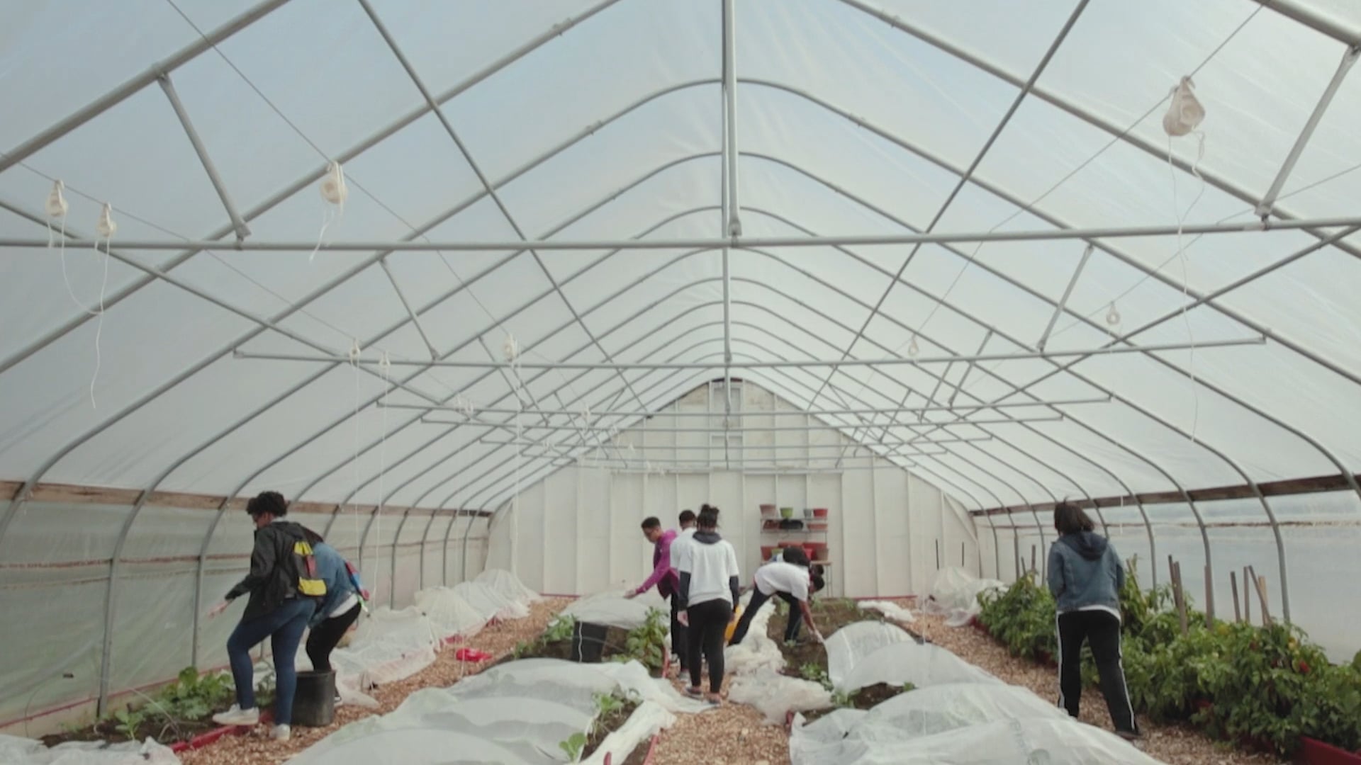 Youth Action: Investing in the Future