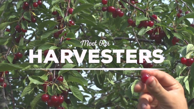 Earthy Delights - Customer Success Story