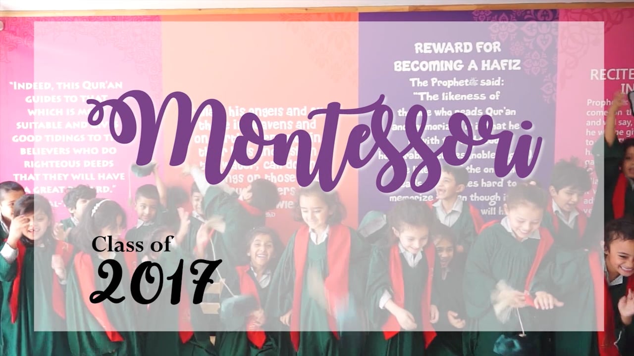 AIS Montessori Class of 2017 (H-11 Campus) Montage
