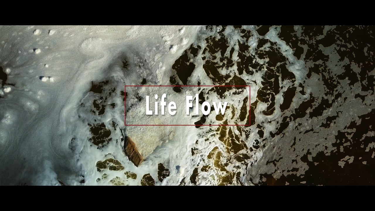 Life Flow