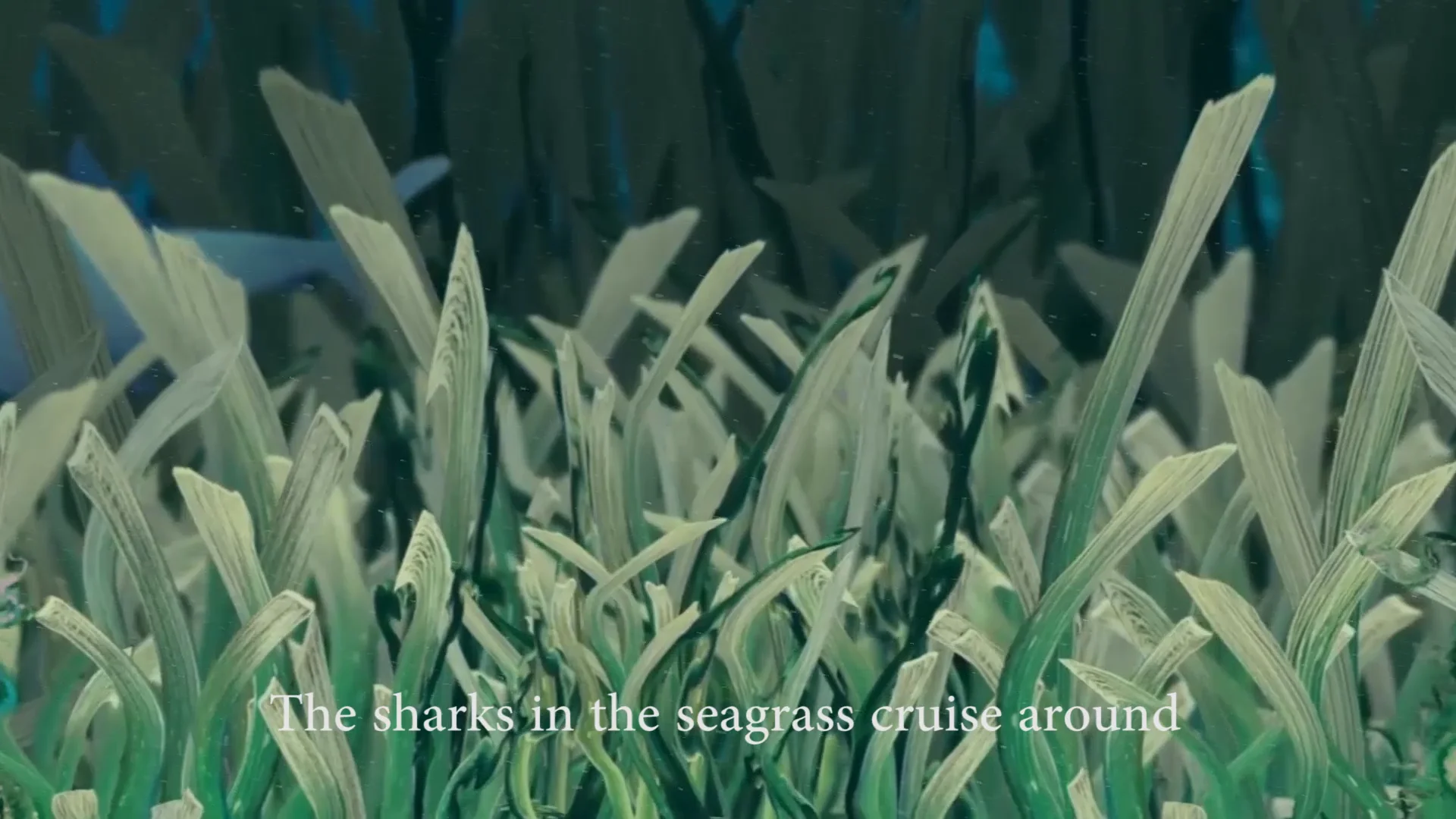 Song of the Seagrass